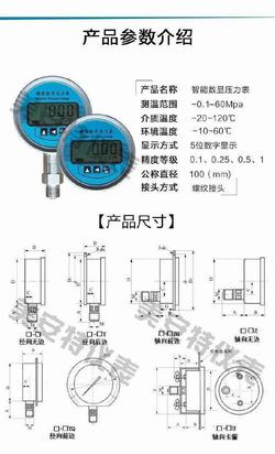 “西寧ifm數顯壓力表“/