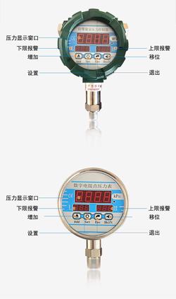 “天水進口數字式壓力表“/